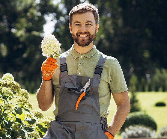 Services Urbntrip legacy