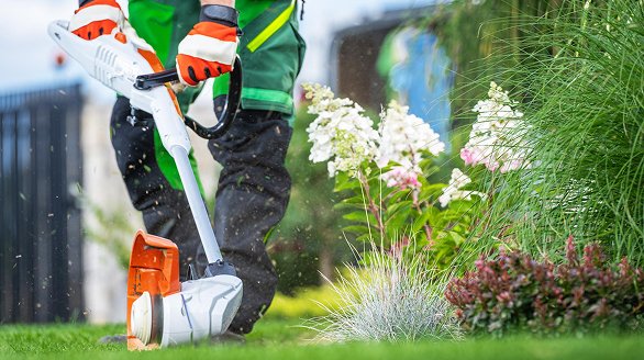 Services Urbntrip services 2