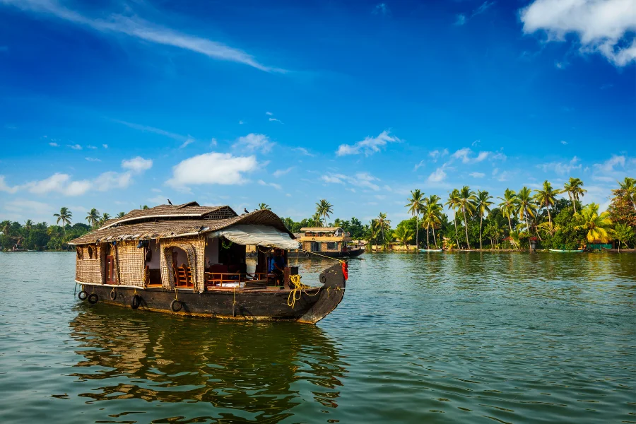 Alleppey deluxe houseboat on Kerala backwaters on 9 days Kerala group tour package