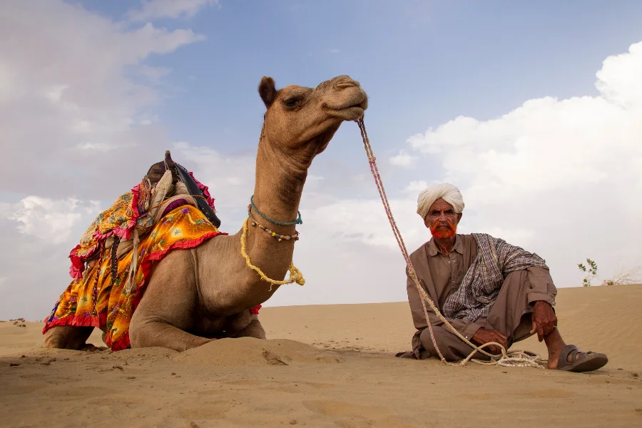 Camel ride in our 11 Days Rajasthan Tour from Jaipur