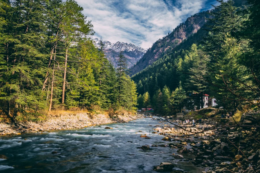 Home Urbntrip River Surround by Trees at Himachal Pradesh